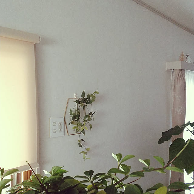 Renさんの実例写真