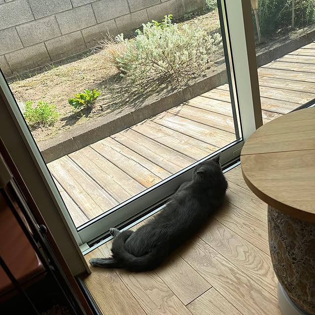 KOHAREさんの部屋