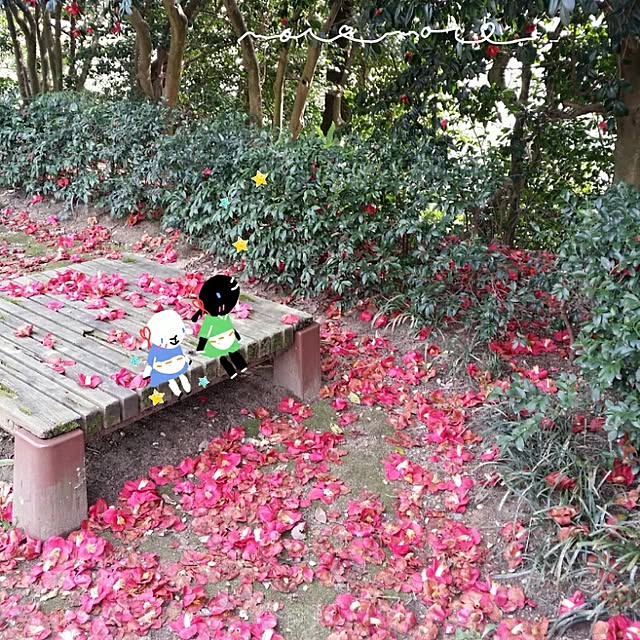 moco-mocoさんの実例写真