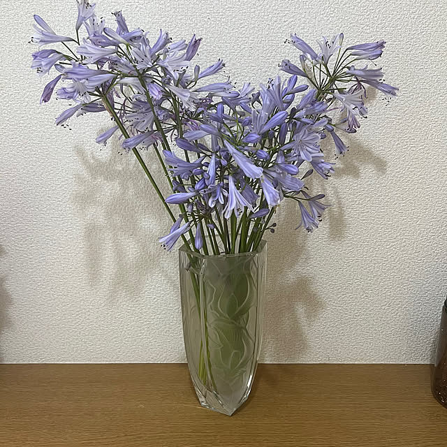 nannoさんの部屋