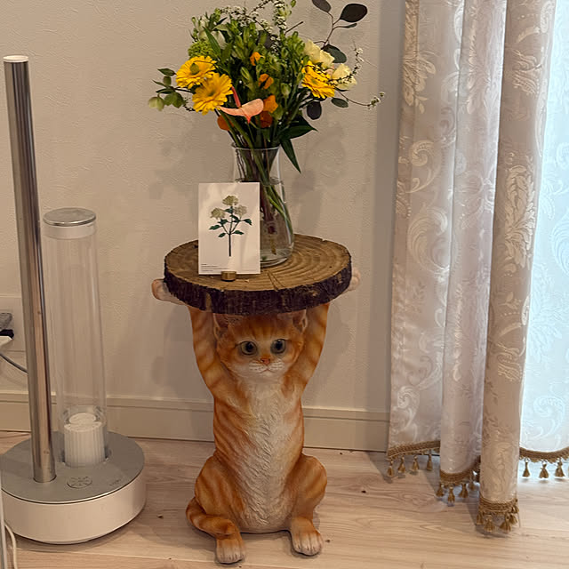 jucakikkaさんの部屋