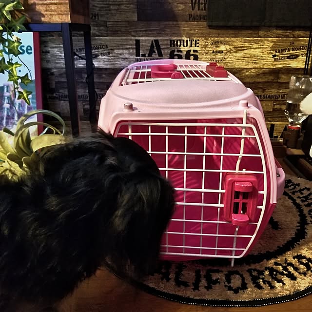 momozouさんの実例写真