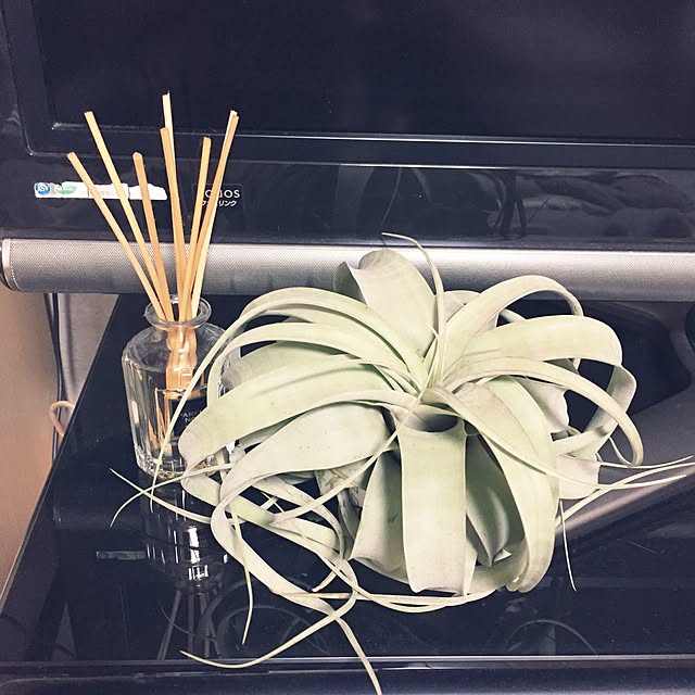 chieさんの実例写真