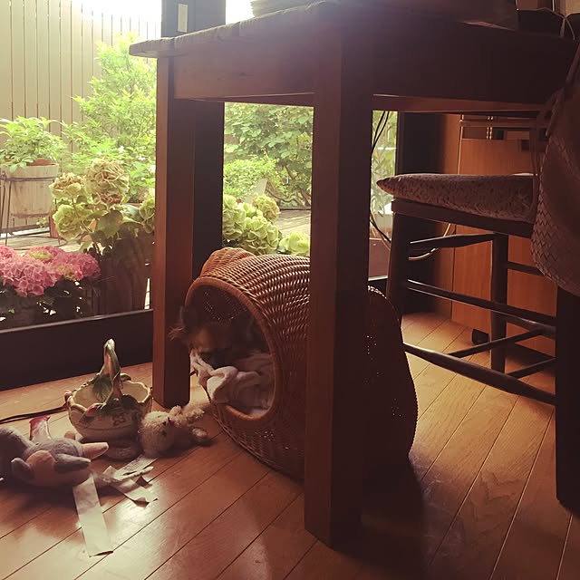 cootan195さんの実例写真