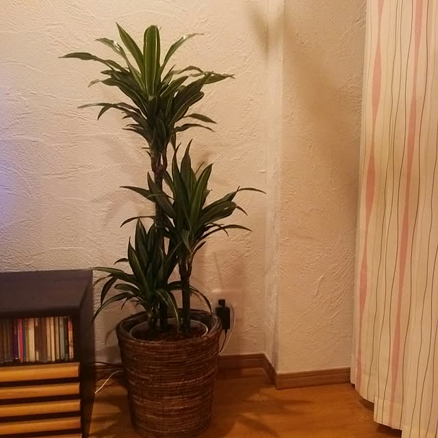 akさんの実例写真