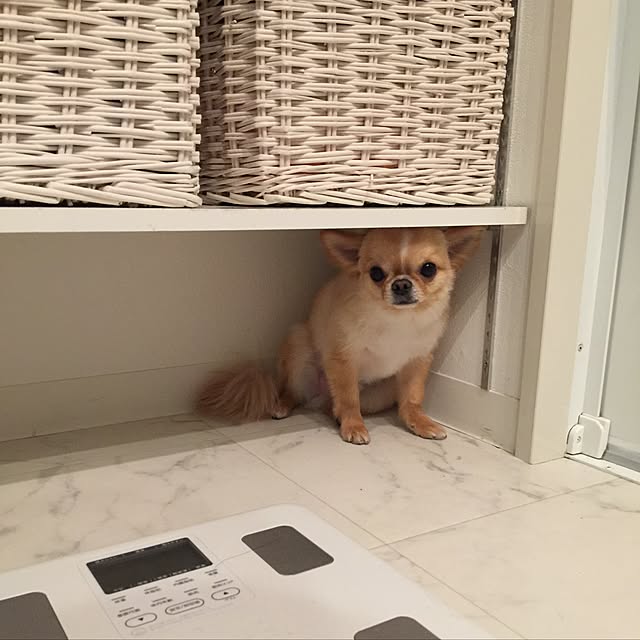 haruhinaさんの実例写真