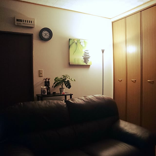 TAGOSAKUさんの部屋