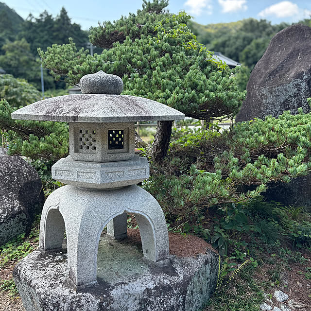 mmさんの部屋