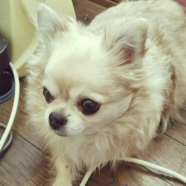 kiraさんの実例写真