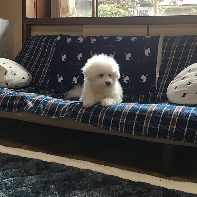 SUNSUNROOMさんの実例写真