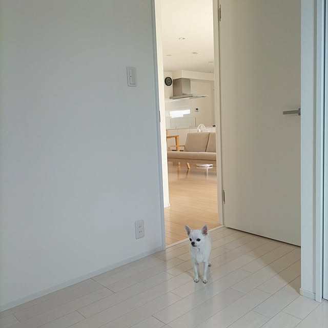 aoipisuke1010さんの実例写真