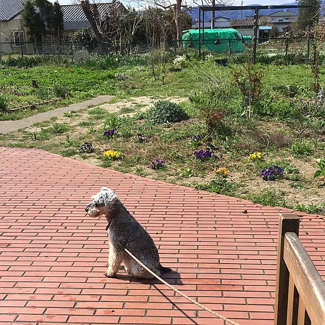 riicolatteさんの実例写真