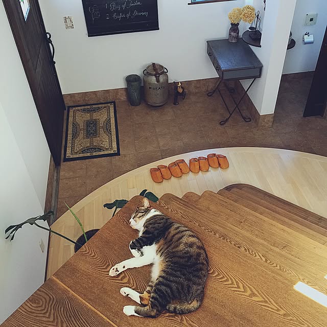 shio2772さんの実例写真