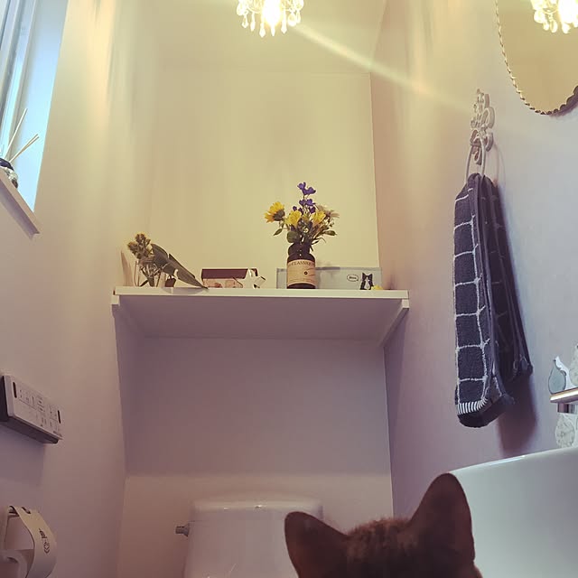 myuuさんの実例写真