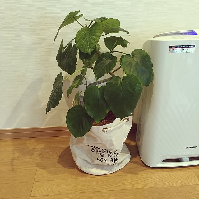 Mentanさんの実例写真