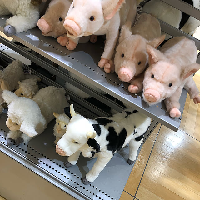 実例写真