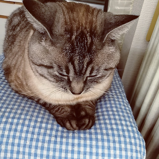 Manaさんの実例写真