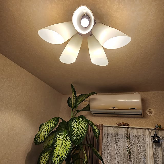 takoさんの部屋