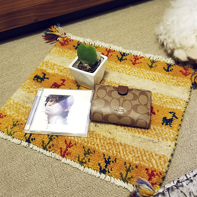 takoさんの実例写真