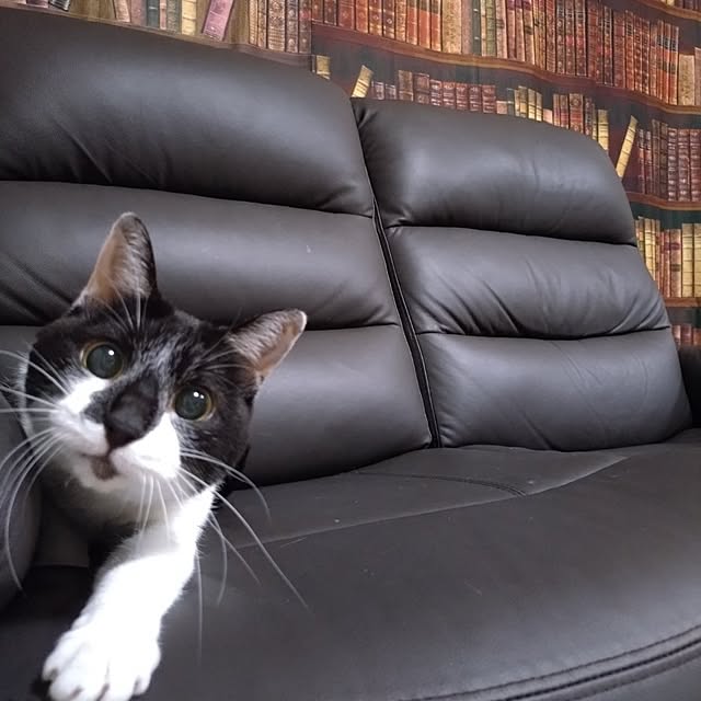 NOAHさんの部屋
