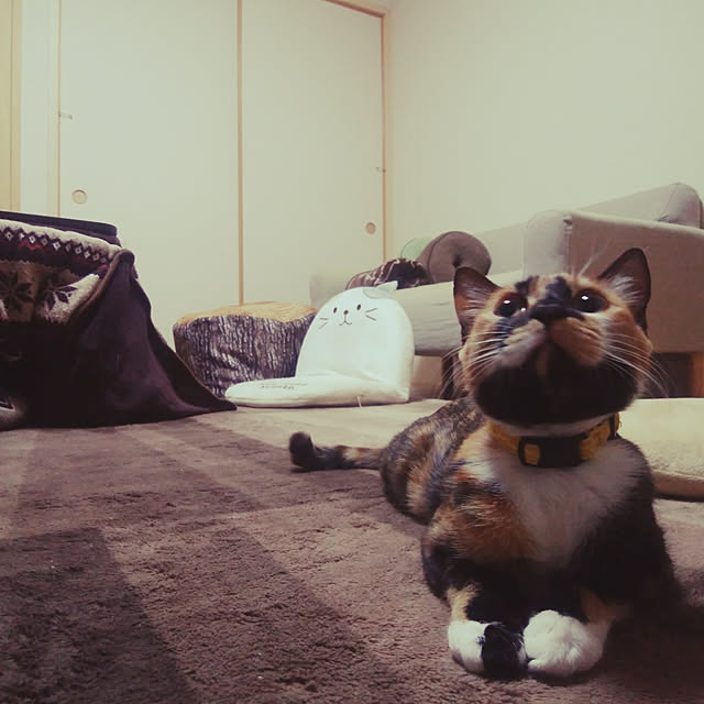 1riverさんの実例写真