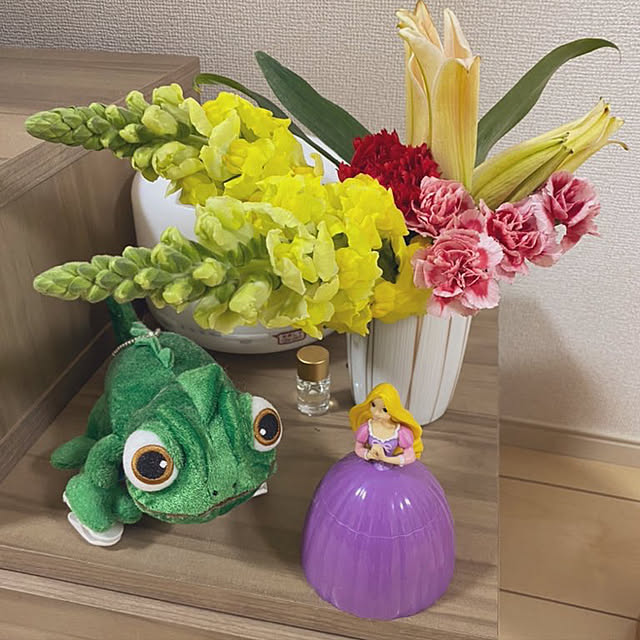 momomoさんの実例写真