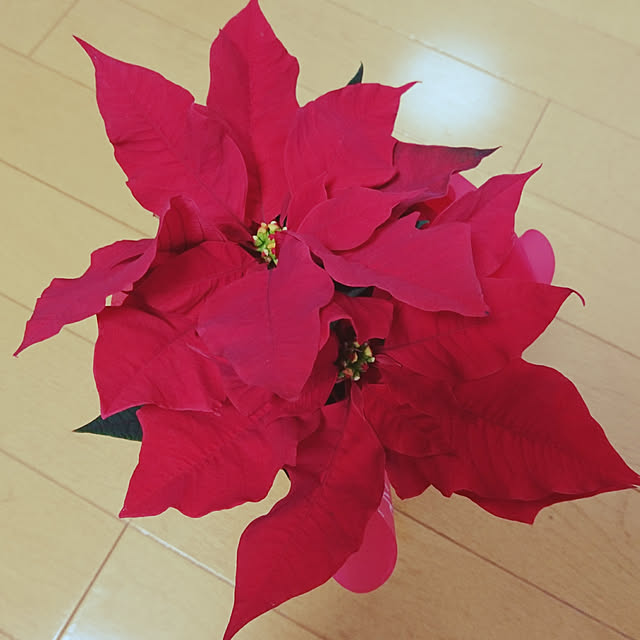 akilamさんの実例写真