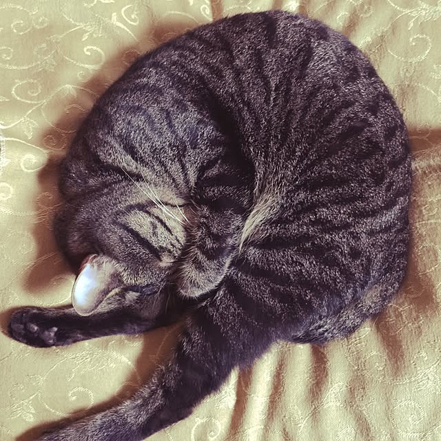 natsuoさんの実例写真