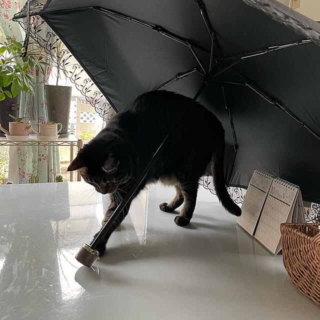 momocchiさんの部屋