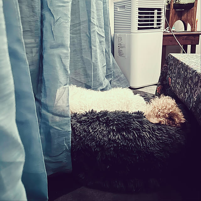 chacoさんの実例写真