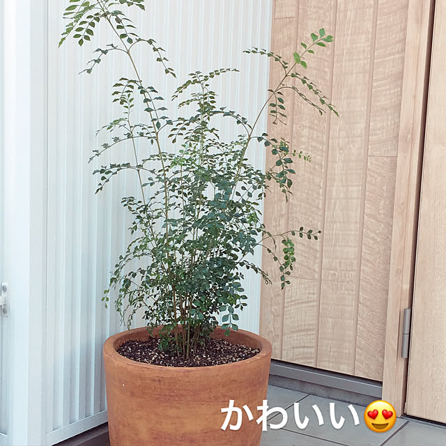 mamemameさんの実例写真