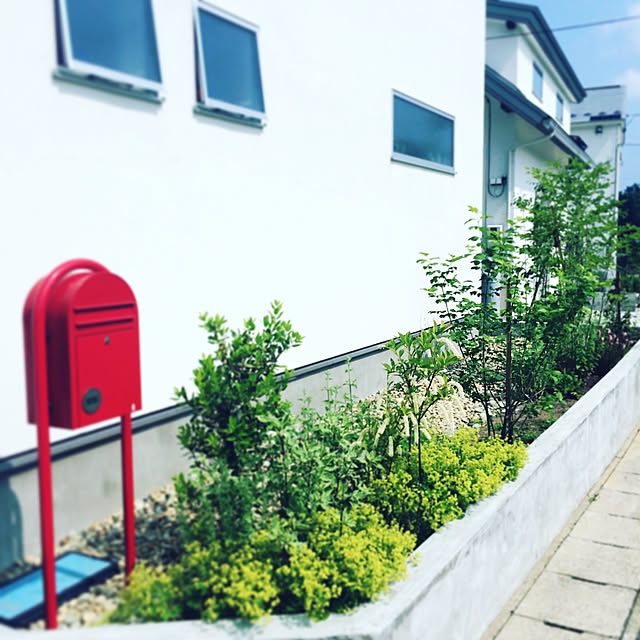 Akikoさんの実例写真
