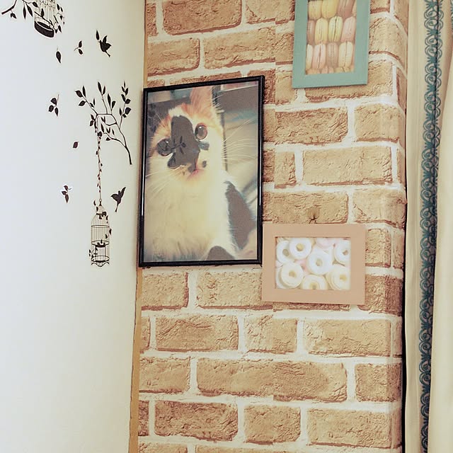 muchosuさんの実例写真