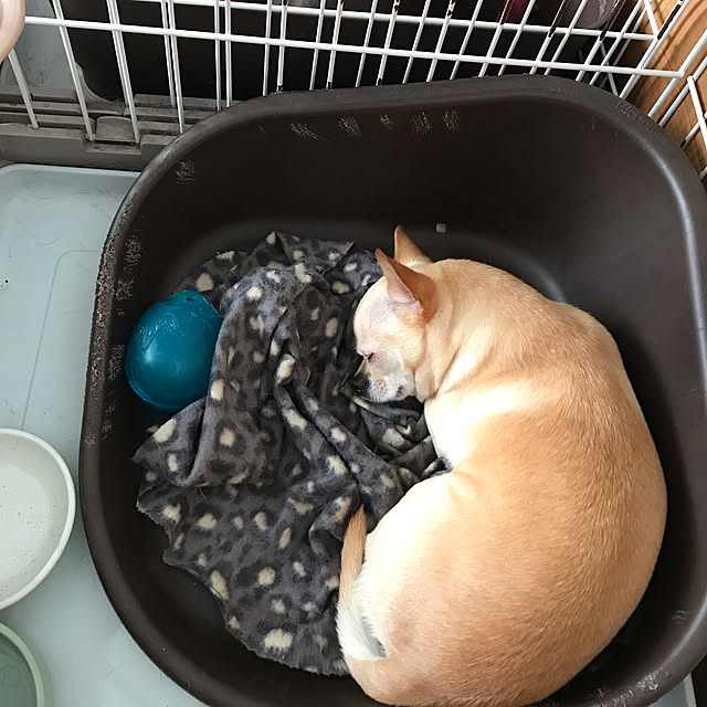 nacchintunnさんの実例写真