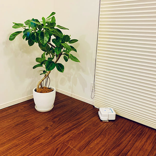Eriuiさんの実例写真