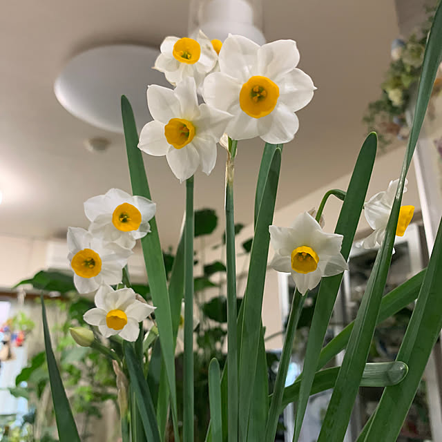 Aqettyさんの部屋