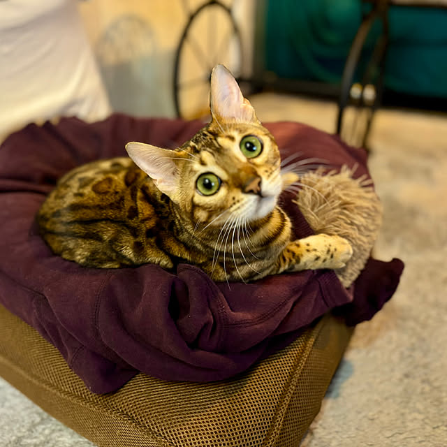 tututu0204さんの部屋