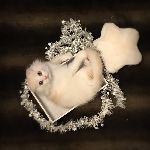 luna.comさんの実例写真