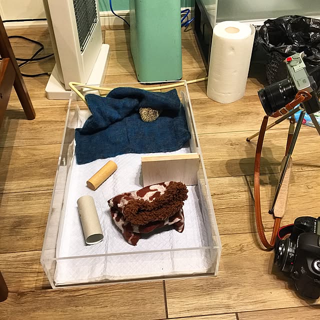ctaさんの実例写真