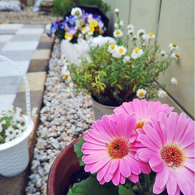 mayumi.sさんの実例写真