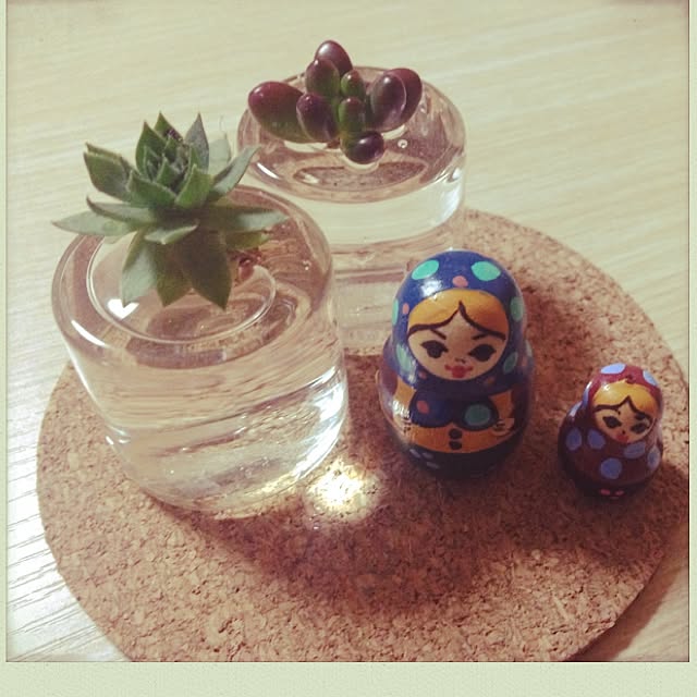 t2k_xdvさんの実例写真