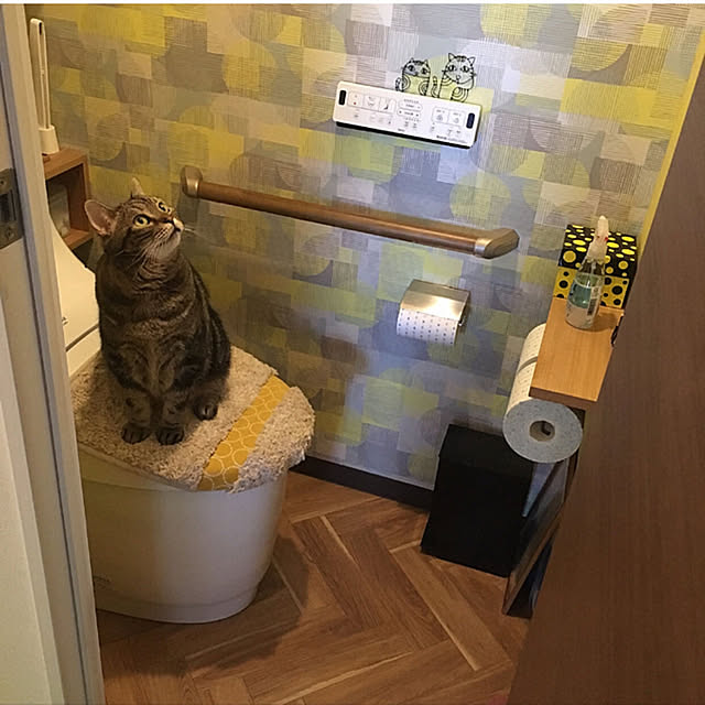 mikomaruさんの実例写真