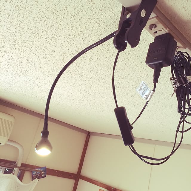 momoさんの実例写真