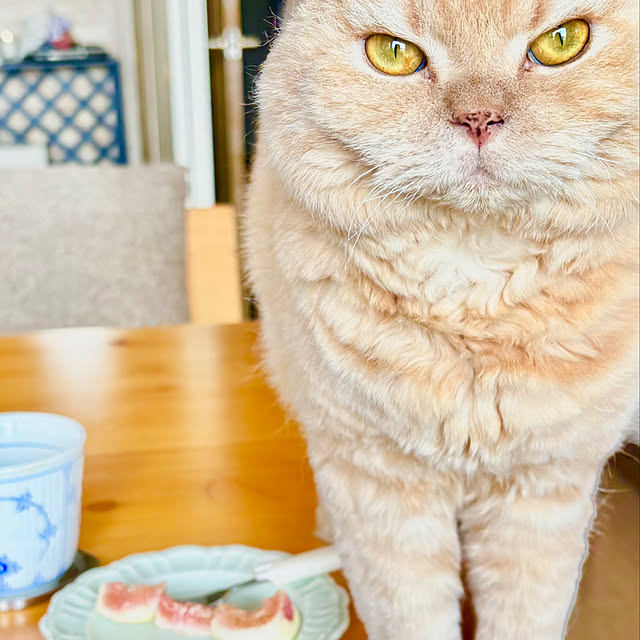 naokoさんの実例写真
