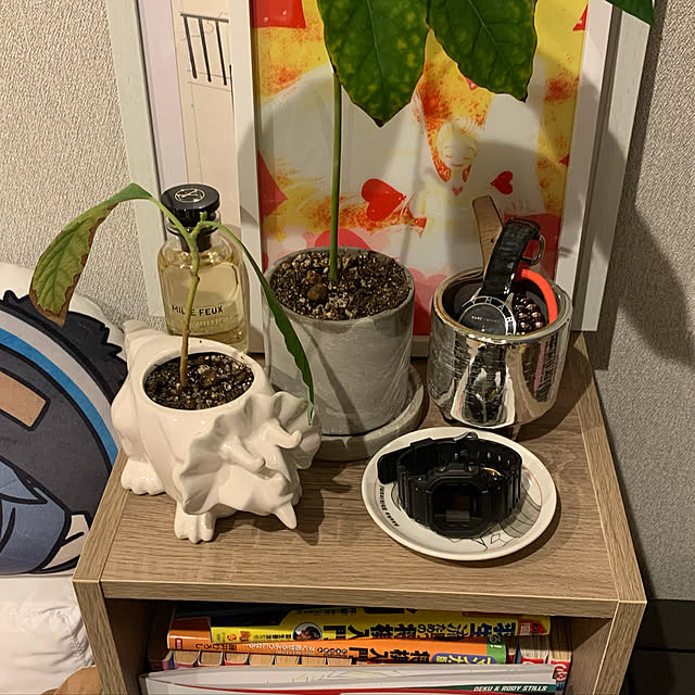 sa1815さんの実例写真
