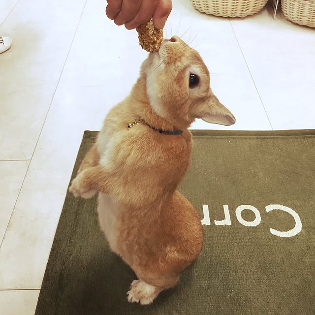 Yasuyukiさんの実例写真