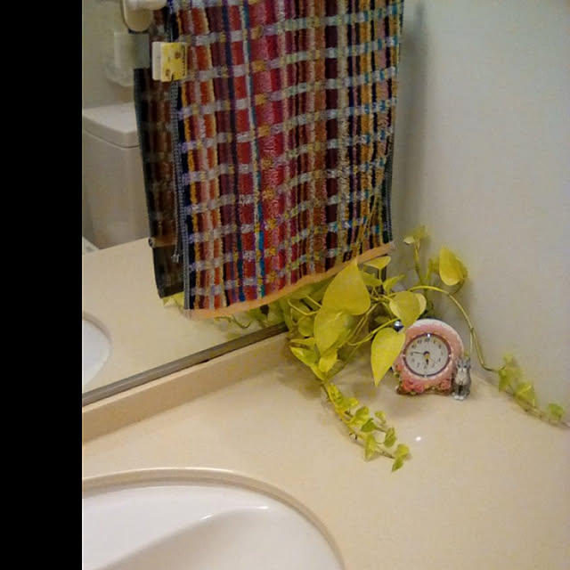 toyotomimaebashiさんの実例写真