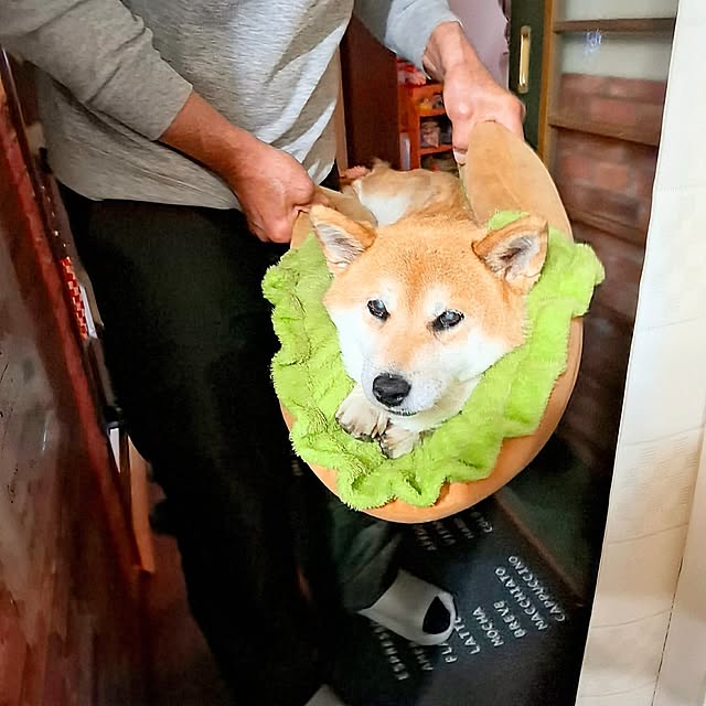 nanaさんの実例写真