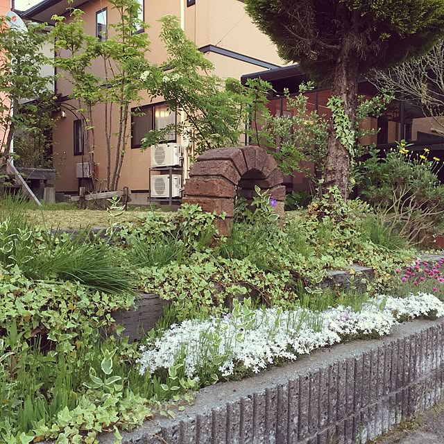 Rika.kさんの実例写真
