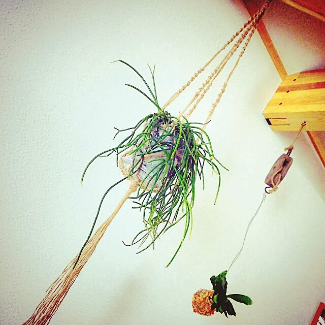 Yukiさんの実例写真